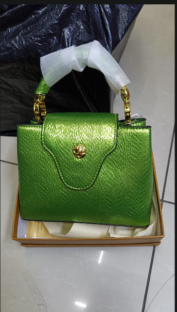 Louis Vuitton Capucines Handbag with Gold-Tone LV Clasp