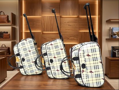 Louis Vuitton Damier Graphite Rolling Luggage & Duffle Bag Set (3-Piece)