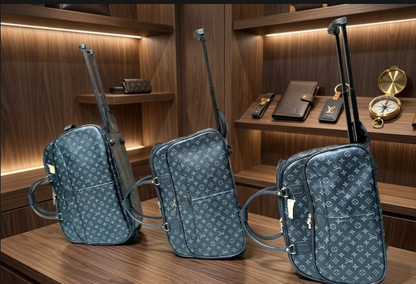 Louis Vuitton Damier Graphite Rolling Luggage & Duffle Bag Set (3-Piece)